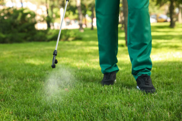 Best Mosquito Control Services  in New Haven, IN