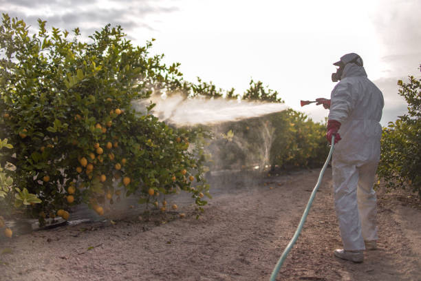Best Commercial Pest Control Services  in New Haven, IN