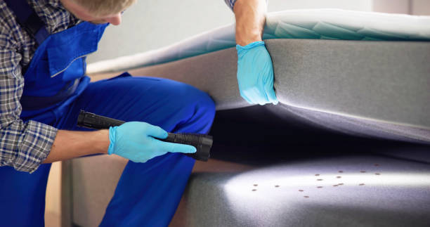 Best Mosquito Control Services  in New Haven, IN