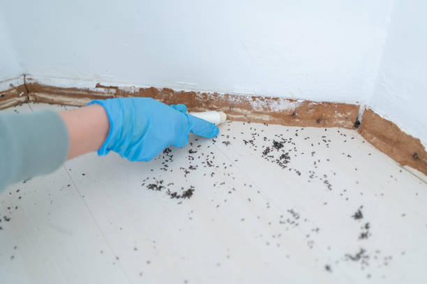 Best Pest Control Treatment  in New Haven, IN